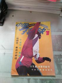 中国排球1993 1