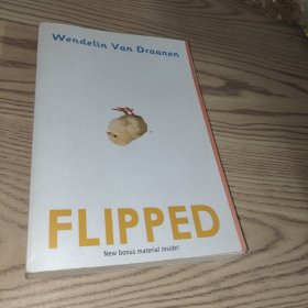 Flipped怦然心动韩寒推荐电影 你，从未忘记你的初恋 原著英文原版小说