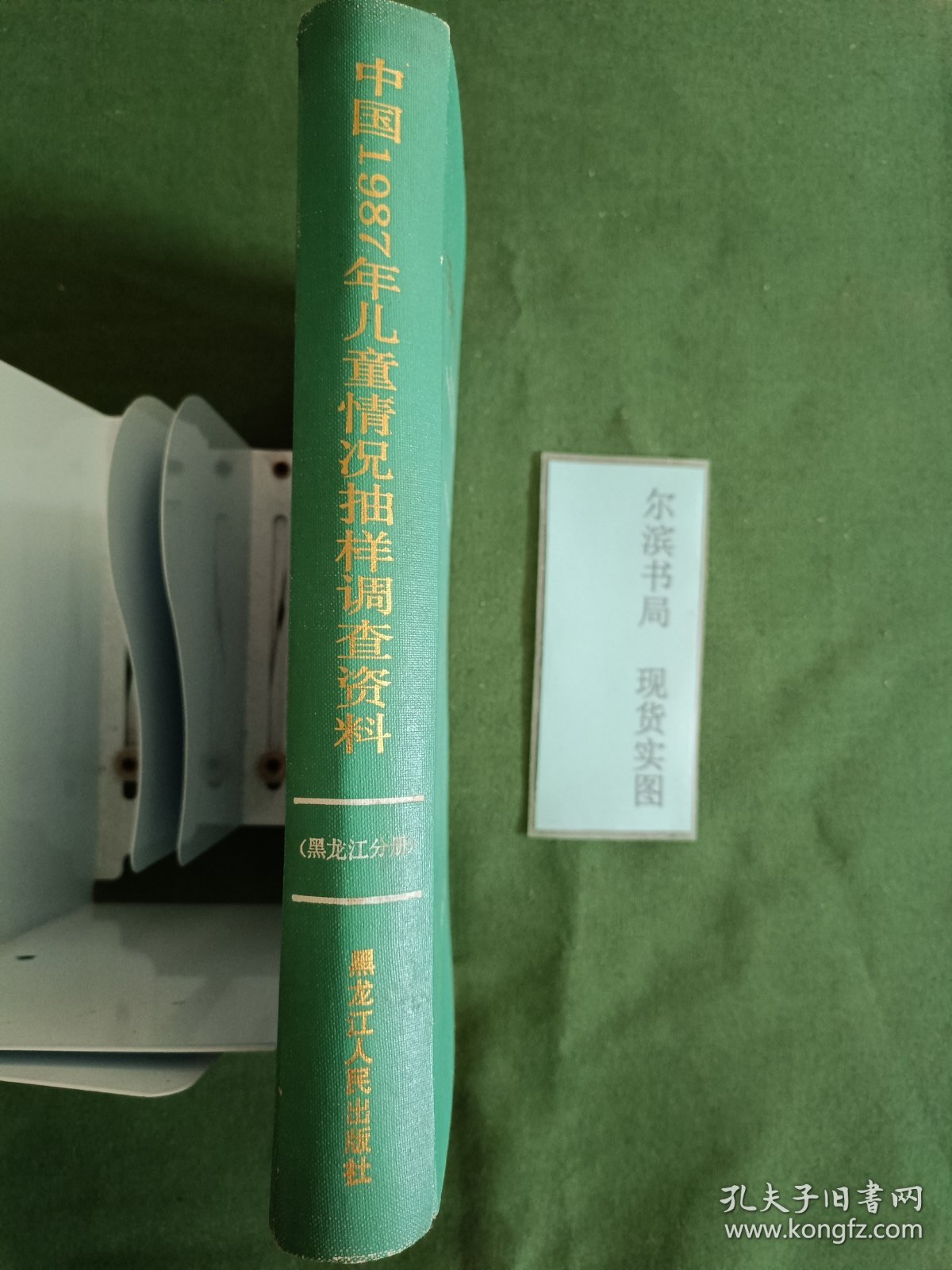 中国1987年儿童情况抽样调查资料