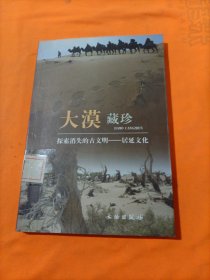 大漠藏珍：探索消失的古文明－居延文化