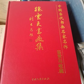 中国当代书画名家名作鉴赏与收藏 孙云天书画集 （冰雪）
