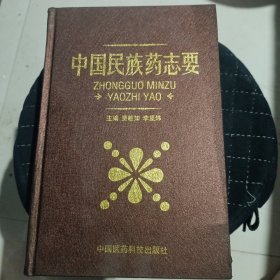 中国民族药志要 精装