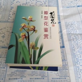 兰花瓣型花鉴赏