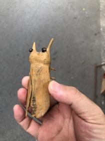 纯手工雕刻崖柏金蝉木器木雕木艺栩栩如生活灵活现！一老人手工雕刻，代为出售。标价就是卖价，不议价不退换偏远不包邮，美品如图。
    小店真诚交友。一老人雕刻摆摊30余年，不会玩手机电脑，今身体欠佳行动不便，帮忙给老人物件低价处理贴补家用。希望好货能遇到懂它的结缘人！亲们看到店里喜欢的宝贝点下收藏，每天不定时更新，欢迎亲们捡漏，诚信经营…