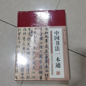 中国书法一本通 青少年中国传世书法技法书法大全 传世书法培训教材书
