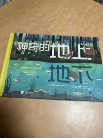 神奇的地上地下（英国Little Tiger出版社360 °科普系列看家书，培养孩子科学思维）