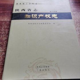 陕西省志 知识产权志（第十四卷）