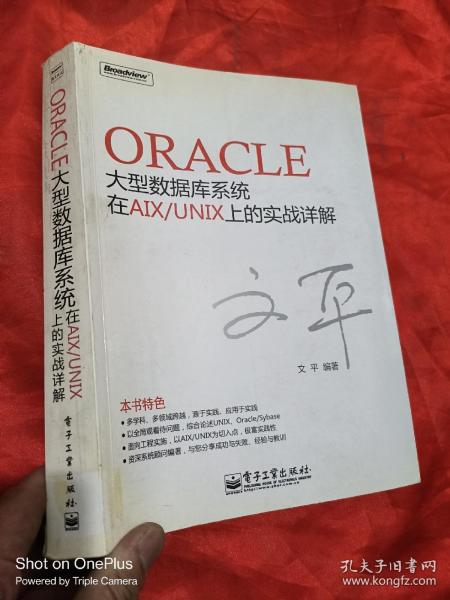 Oracle大型数据库系统在AIX/UNIX上的实战详解