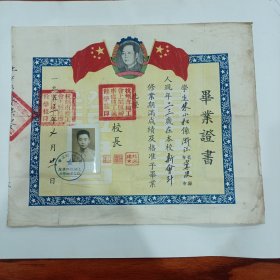 稀有，1953年新会计毕业证书，杭州市总工会上城区辨事处职工业余学挍，29.5X36