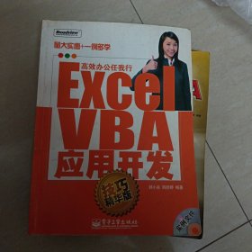 Excel VBA应用开发：技巧精华版