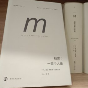 档案:一部个人史译丛013 英蒂莫西·加顿艾什 著 汪仲 译