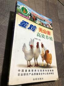 蛋鸡无公害高效养殖