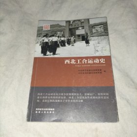 西北工合运动史