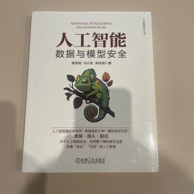 人工智能数据与模型安全