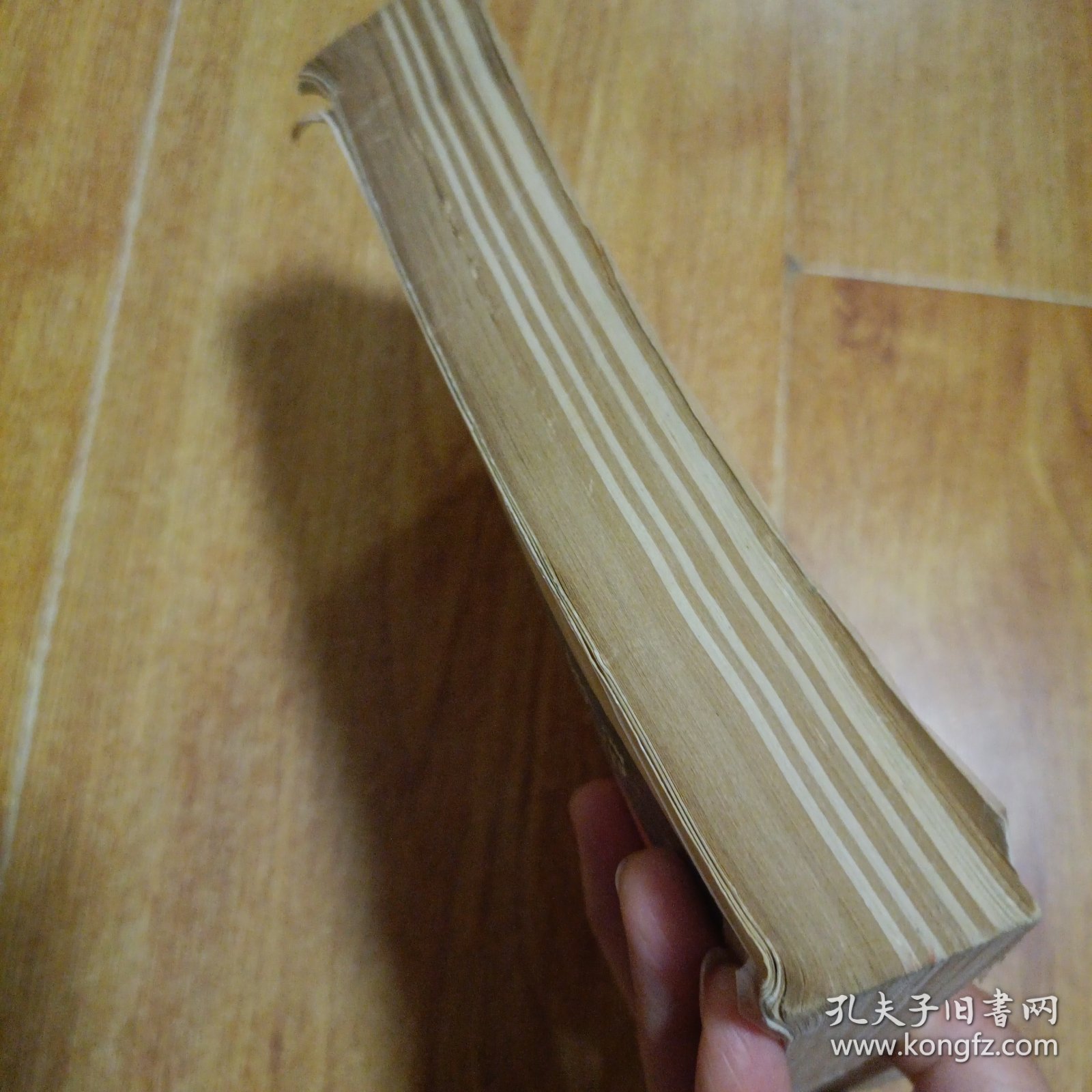 性心理学