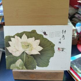 明信片 实寄函 荷花 2012。