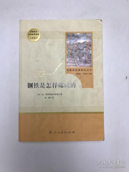 统编语文教材配套阅读 八年级下：钢铁是怎样炼成的/名著阅读课程化丛书