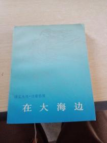 译文丛刊 诗歌特辑 在大海边