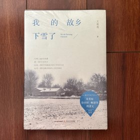 我的故乡下雪了