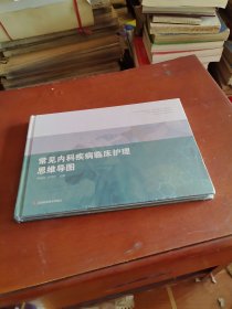 常见内科疾病临床护理思维导图（全新未拆封）