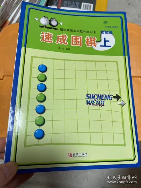 初级篇-速成围棋(上)