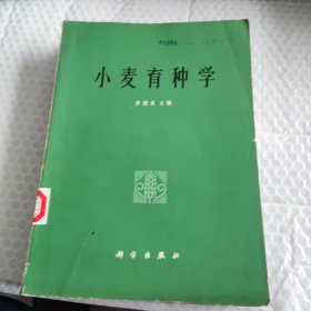 小麦育种学