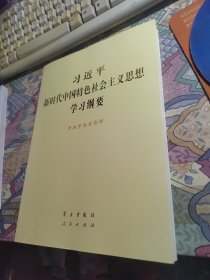 习近平新时代中国特色社会主义思想学习问答大字版