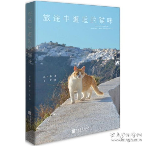 旅途中邂逅的猫咪