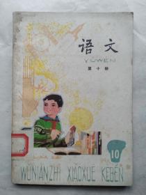 五年制小学课本 语文 第十册 (84年印) 未用