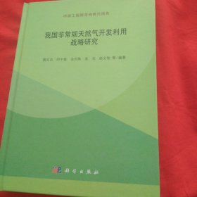 我国非常规天然气开发利用战略研究