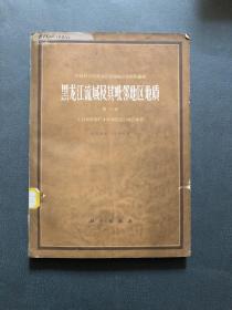 黑龙江流域及其毗邻地区地质 第一卷 小兴安岭张广才岭和完达山地区地质