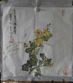 花卉~王炳龙