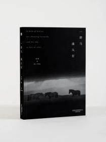 一群马 满天星 李刚著 樊响设计 中国最美的书（备注签名版550，需要提前咨询）