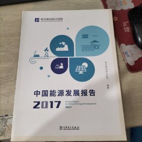 中国能源发展报告（2017）