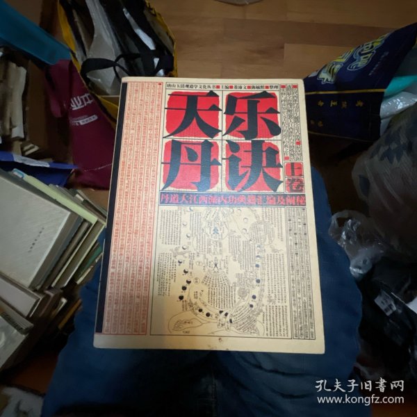 天乐丹诀：丹道大江西派内功典籍汇编及阐秘（全三册）