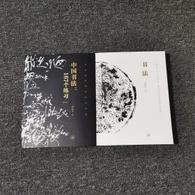 全新塑封16开，书法技法的分析与训练 中国书法167个练习，增订版，401页 一份关于书法的知识，观念和深入途径的备忘录， 书法，邱振中著 449页 全两册定价196元