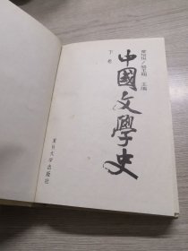 中国文学史（上中下）