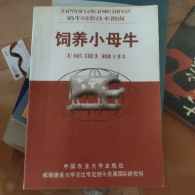 饲养小母牛