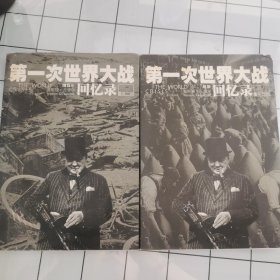 第一次世界大战回忆录 第2卷 +第5卷