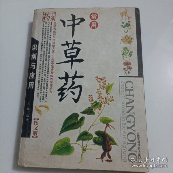 常用中草药识别与应用（图文版）