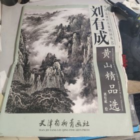 刘有成黄山精品选