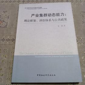 产业集群动态能力：理论框架、评价体系与公共政策