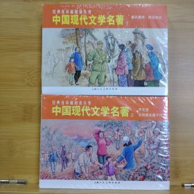 上美连环画 经典连环画阅读丛书：中国现代文学名著(1暴风骤雨、风云初记+2芦花荡、太阳照在桑干河上)［4册合售］