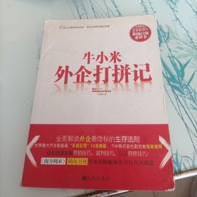 牛小米外企打拼记