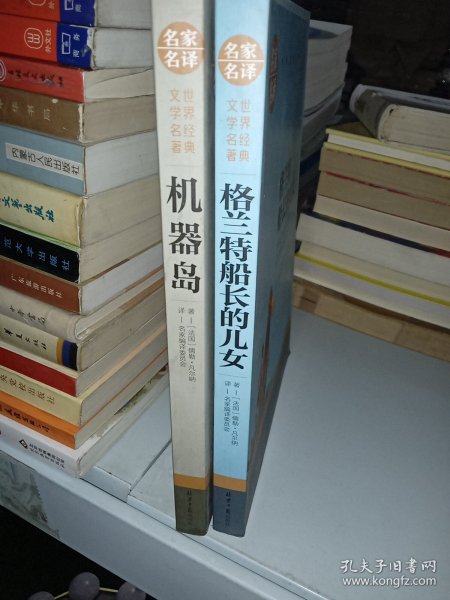 格兰特船长的儿女 中小学生课外阅读书籍世界经典文学名著青少年儿童文学读物故事书名家名译原汁原味读原著