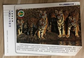 旅游题材明信片-上海野生动物园（邮资片）