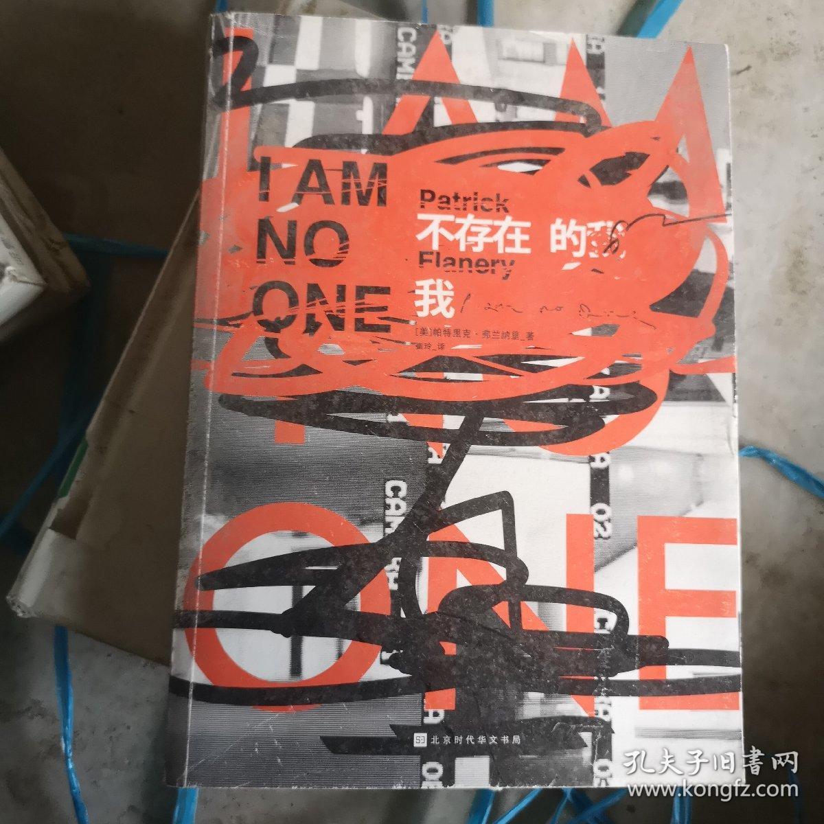 不存在的我（美国全国公共电台年度好书）