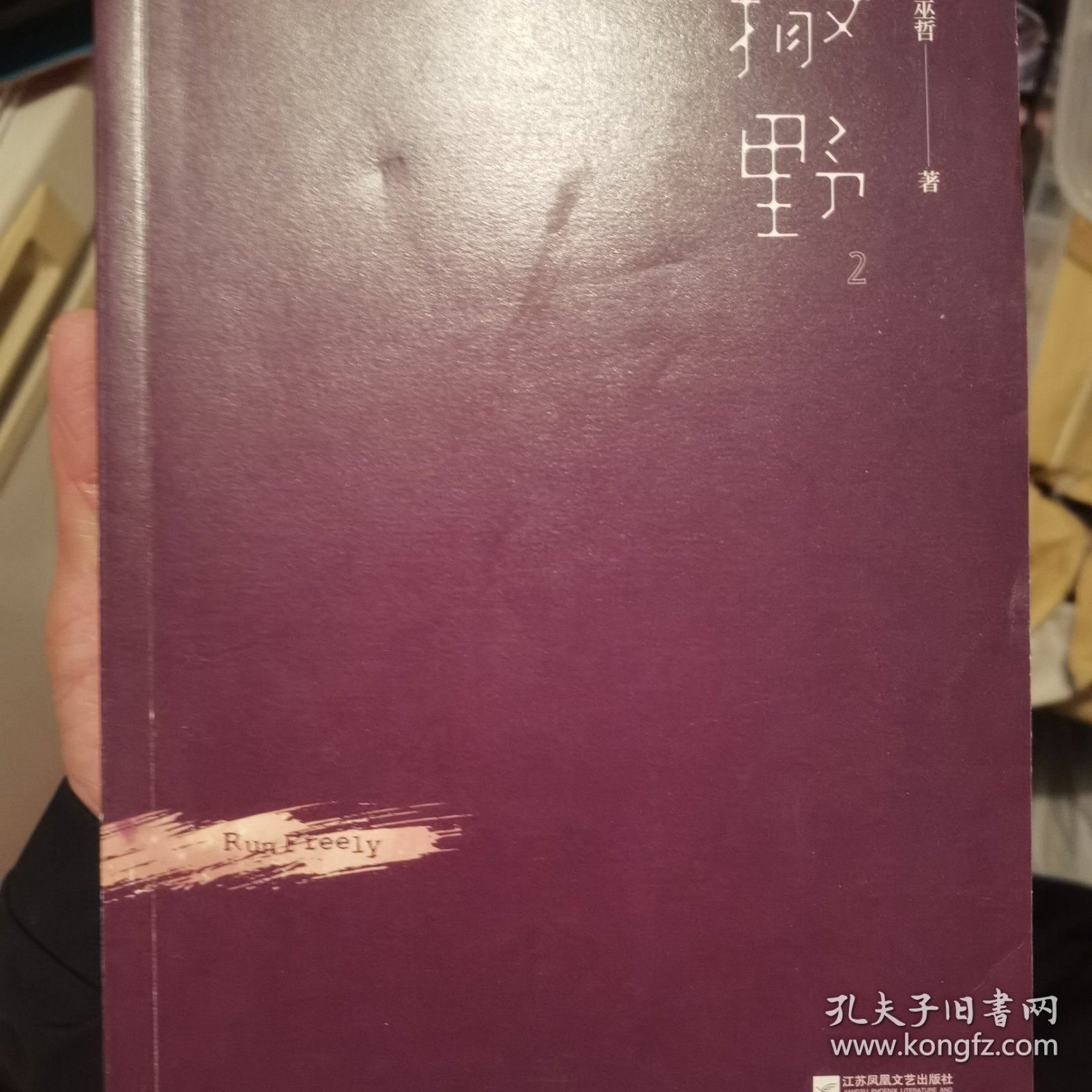 撒野.2（2020震撼回归，超人气作者巫哲至高人气代表作）
