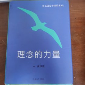 理念的力量：什么决定中国的未来