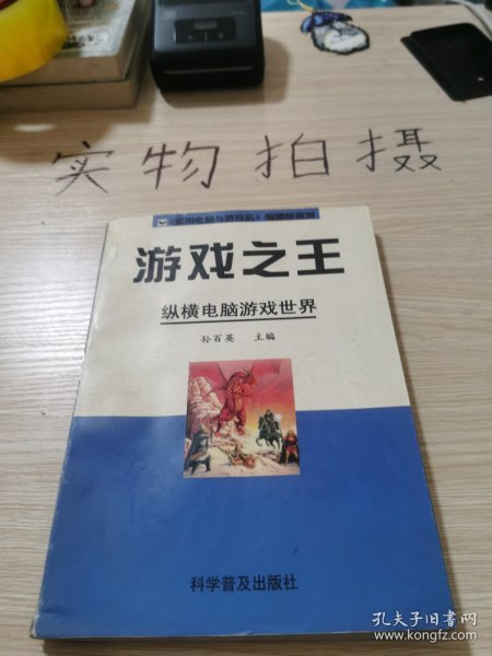 游戏之王：纵横电脑游戏世界